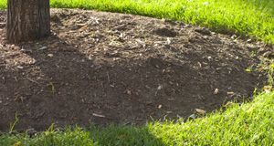 Mulch in the grass