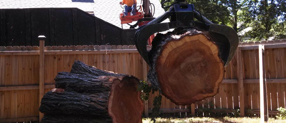 Tree stump being removed by crane claw