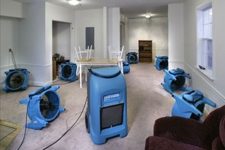 Water removal services