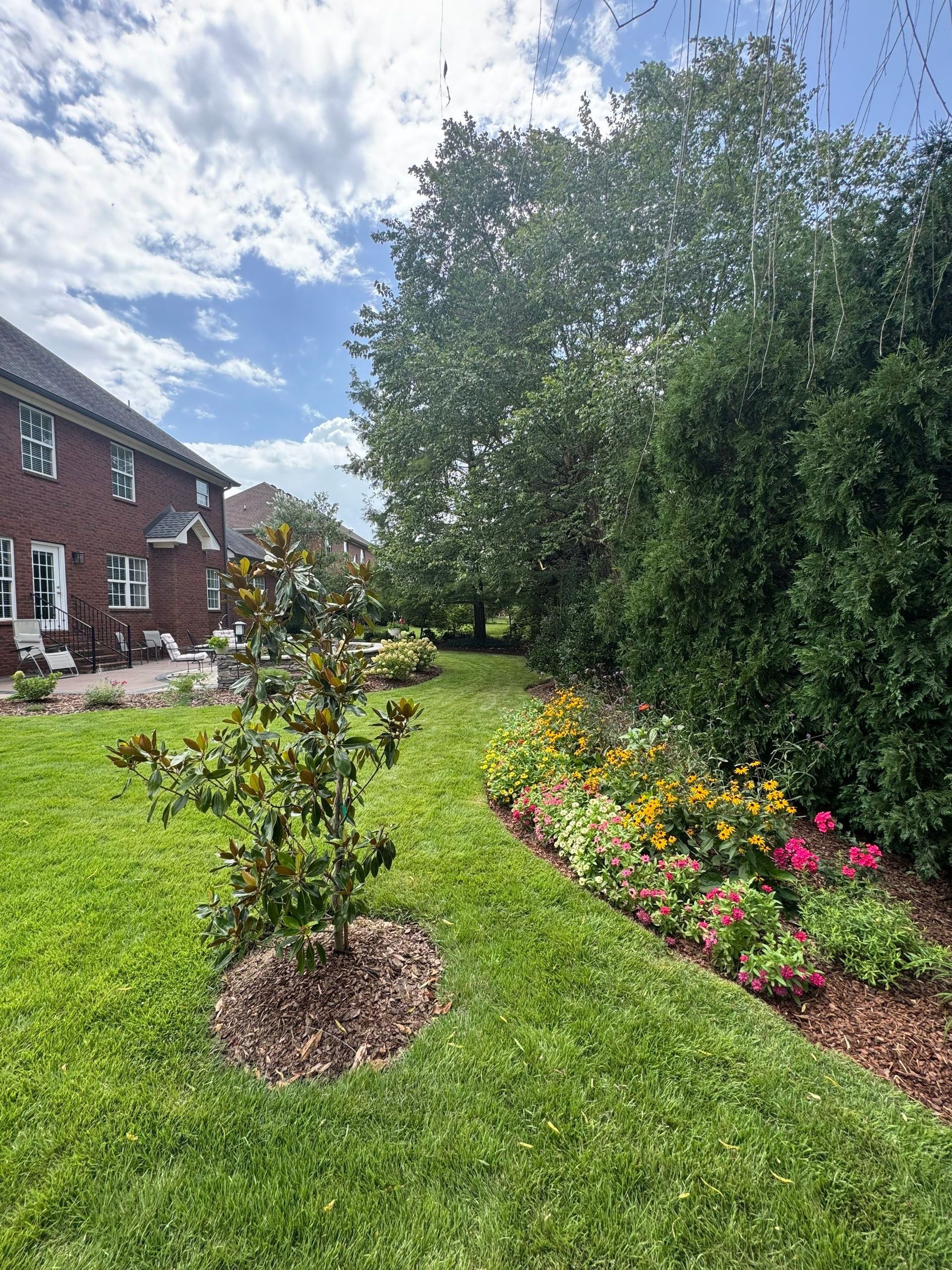 Backyard with a young tree, flower bed, green lawn, and brick house under a cloudy sky