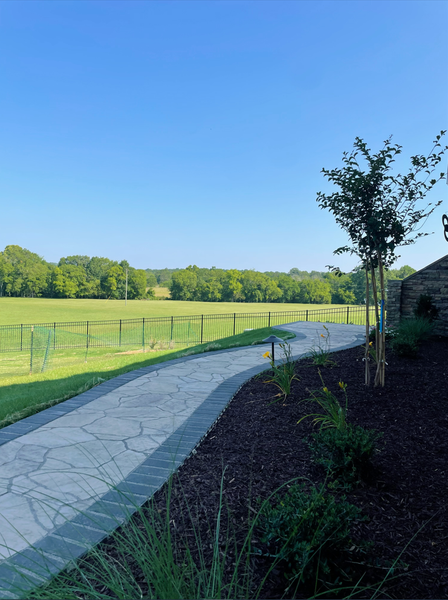 A paved path curves past a field toward trees, under a bright blue sky.