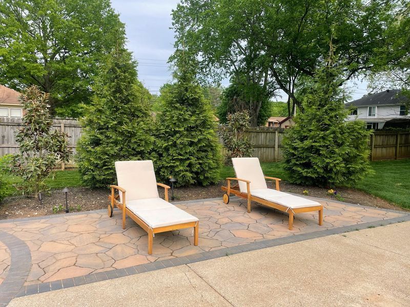 Two beige lounge chairs on a stone patio, facing evergreen trees in a backyard.