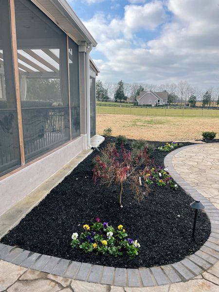 Landscaped garden bed with a small tree, pansies, and dark mulch next to a patio and screened porch.