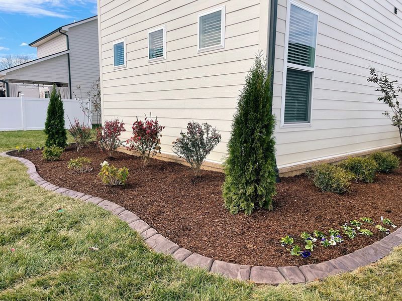 Flower bed with brown mulch, bordered by pavers, with shrubs and evergreen trees. Beside a tan house on green grass.