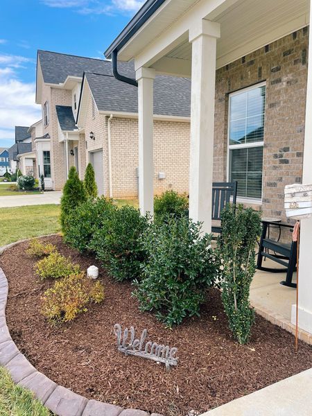 Landscaped yard with 