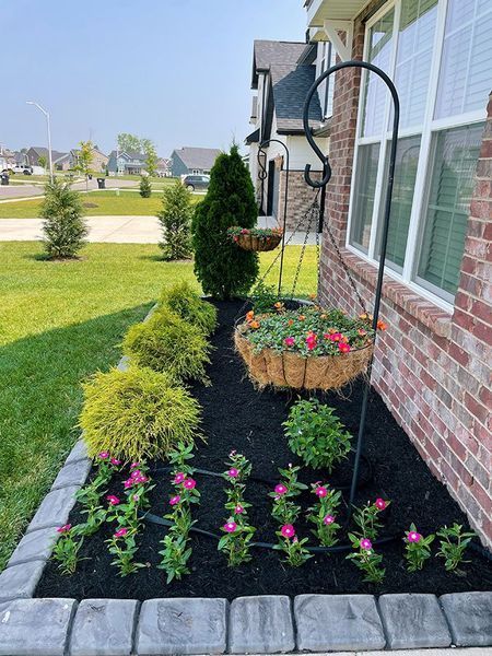 A flower bed with pink flowers, mulch, shrubs, and hanging baskets by a brick house.