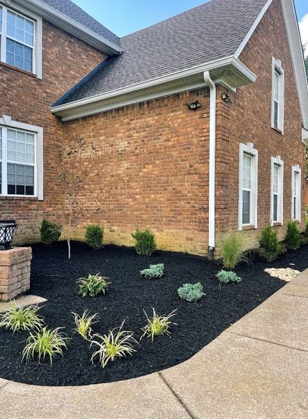 Brick house with black mulch landscaping and green plants along a walkway.