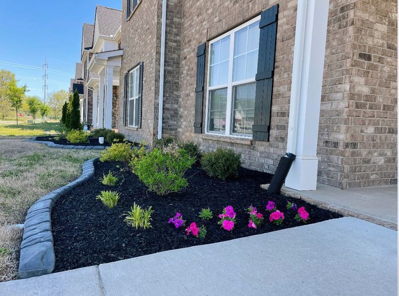 A house with a brick facade, a flower bed with black mulch, and a line of houses in the background.