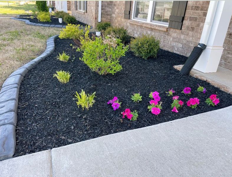 Flower bed with dark mulch, colorful blooms, and green bushes, in front of a brick home with a gray border.