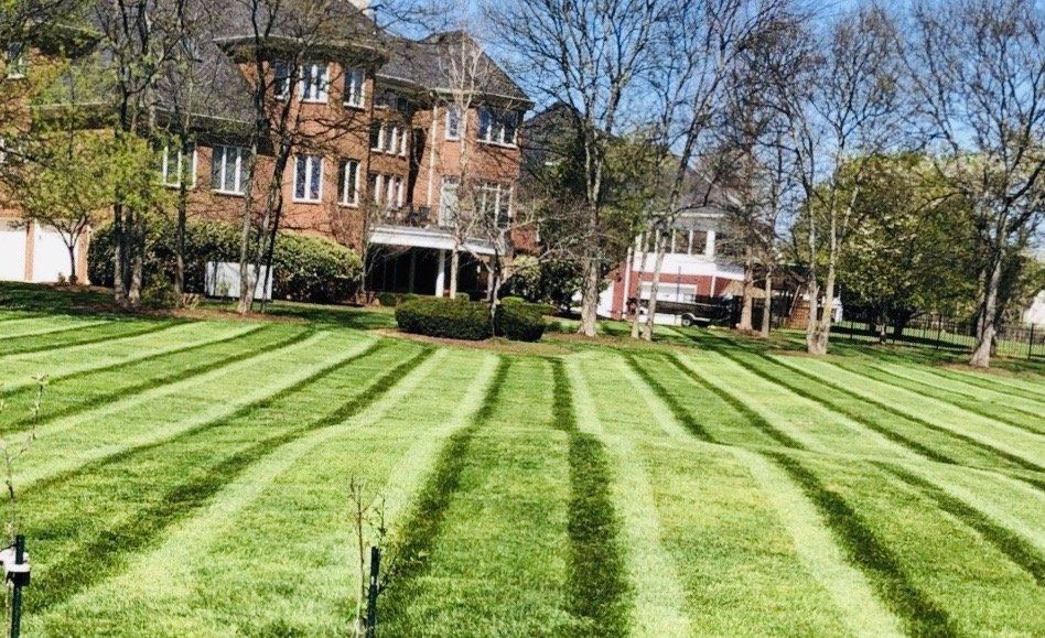 Lawn mowed in alternating stripes in front of a large brick house on a sunny day.