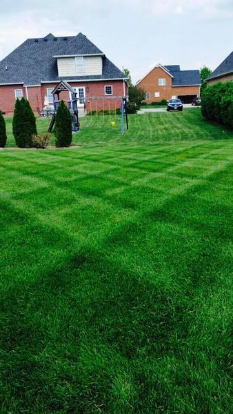Lawn with geometric mowing pattern, house in background under a cloudy sky.