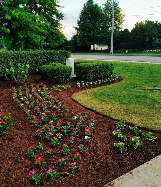 Landscaped garden bed with flowers and trimmed hedges bordering a grassy area and road.