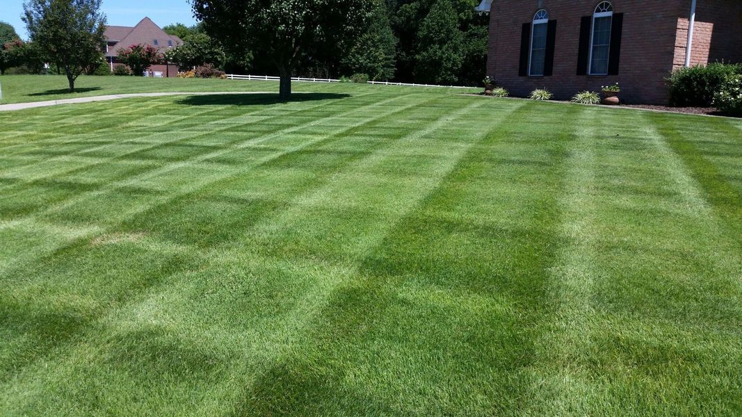 Lawn with a striped pattern, green grass, and a house in the background on a sunny day.