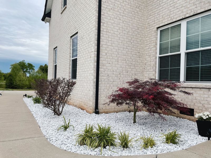 White brick house with white stone landscaping; small red tree, shrubs, and plants.