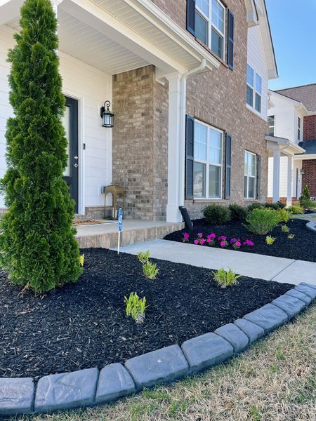 Front exterior of a house with a landscaped yard, dark mulch, and decorative border.