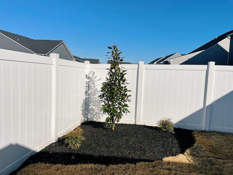 White fenced yard with a young tree and black mulch under a clear blue sky.
