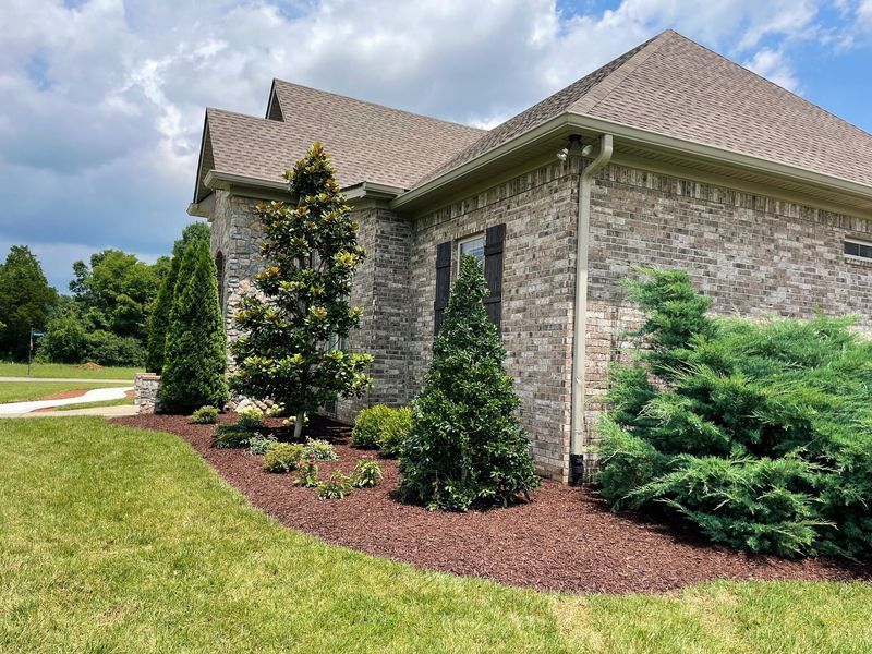 Landscaped front yard of a brick house with brown mulch, green trees, and blue sky.