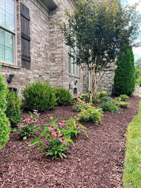 Landscaped garden bed in front of a brick house with pink flowers, shrubs, and mulch.