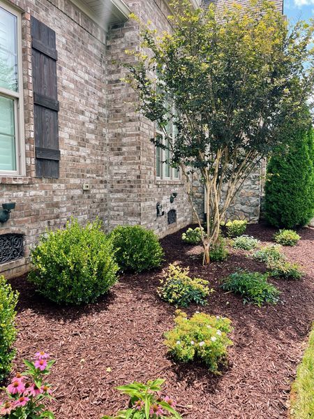 A brick house with a garden bed of green plants and brown mulch. A tree is in the center.