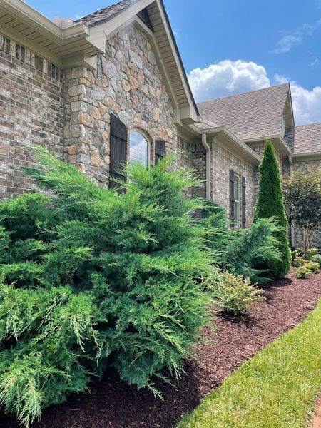 House exterior with stone and brick facade, green bushes and landscaping in front.