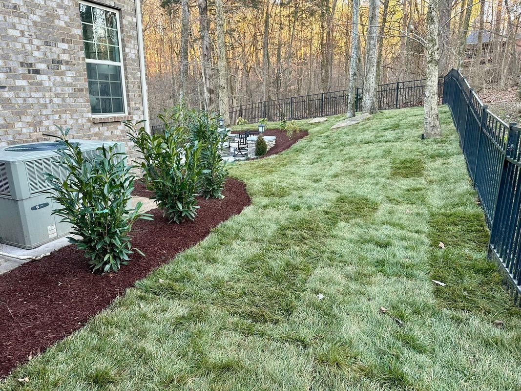 Backyard with bushes in dark mulch, green lawn, black fence, and brick house.