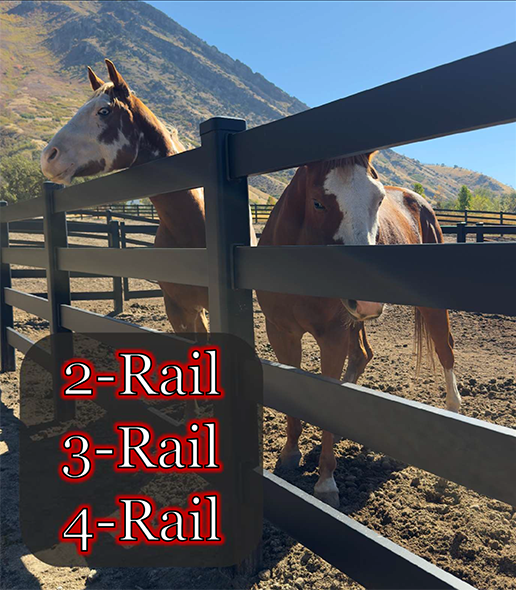 Two horses behind a black fence on a sunny ranch, with “2-Rail 3-Rail 4-Rail” text.