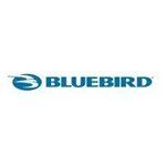 Bluebird