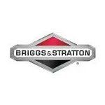 Briggs & Stratton