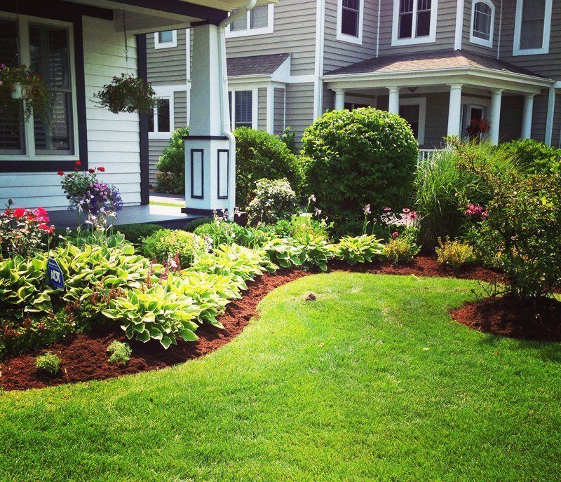 Lawn
