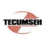 Tecumseh