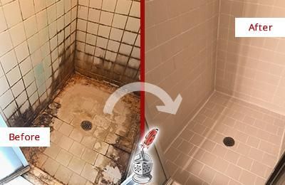 Before-and-after: a moldy shower transformed into a clean, light-colored shower.
