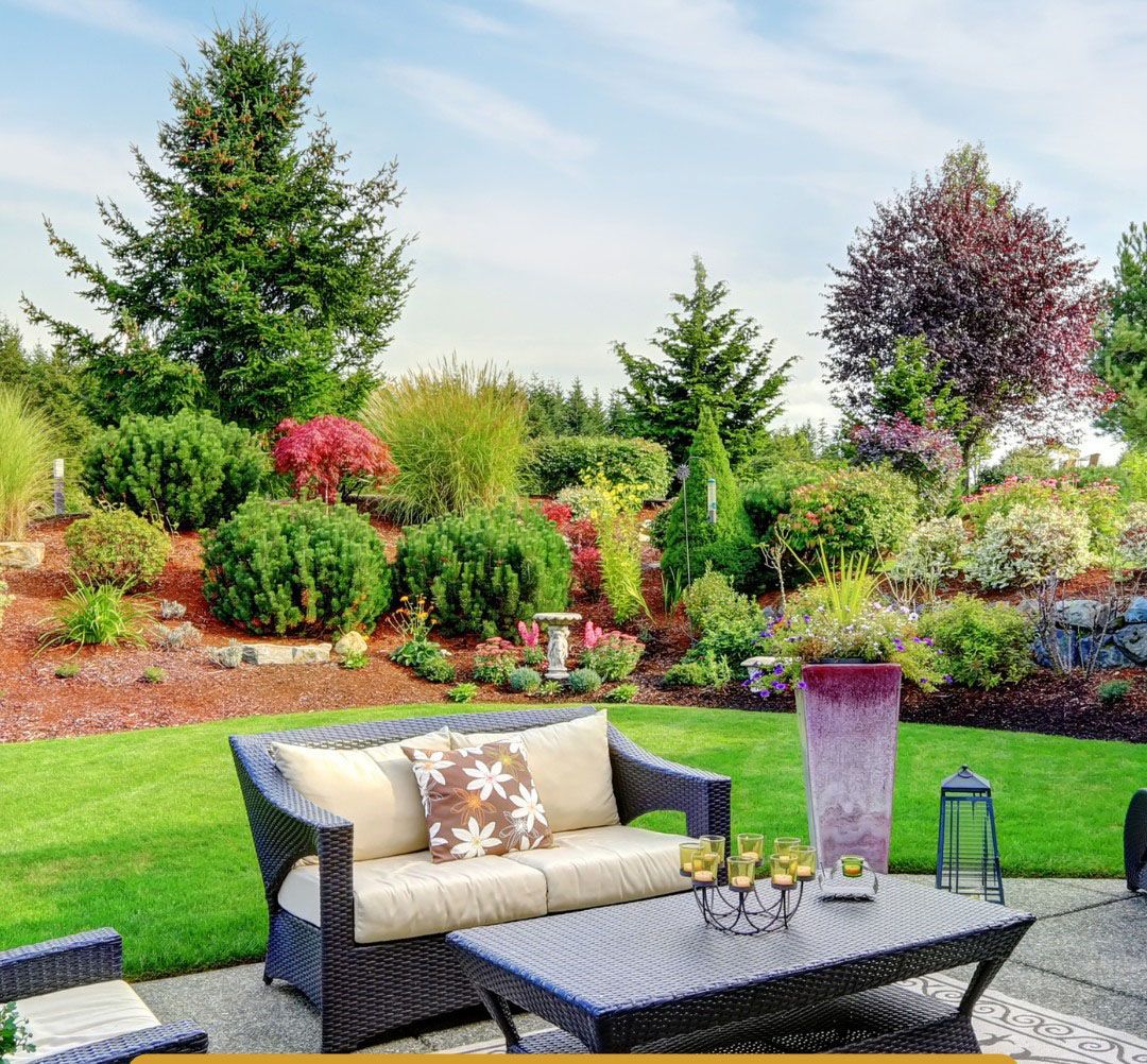 Patio with wicker furniture overlooking a landscaped garden with various trees and shrubs under a blue sky.