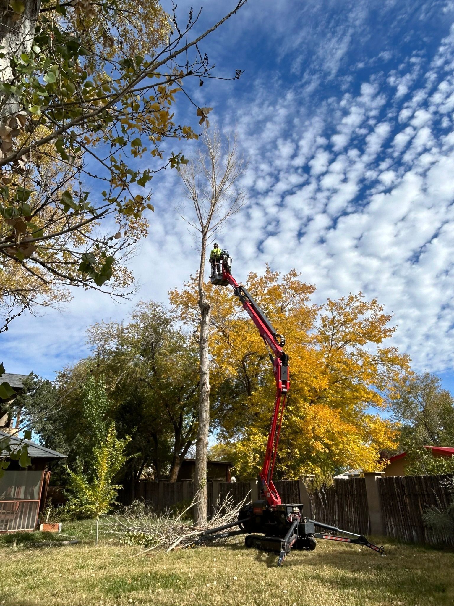 Person on a cherry picker trimming a tall tree in a backyard under a partly cloudy sky