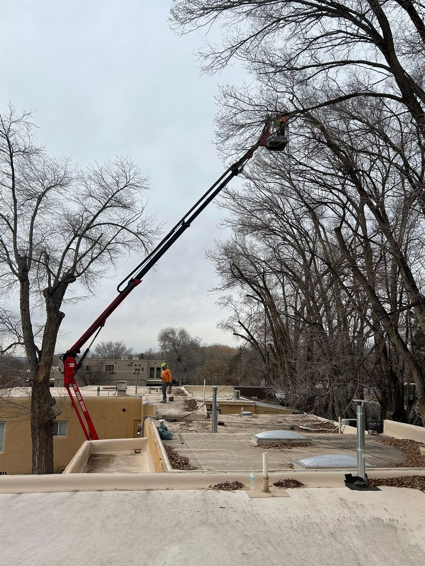 Construction site with concrete forms, a red pump boom, and workers on a raised structure by bare trees