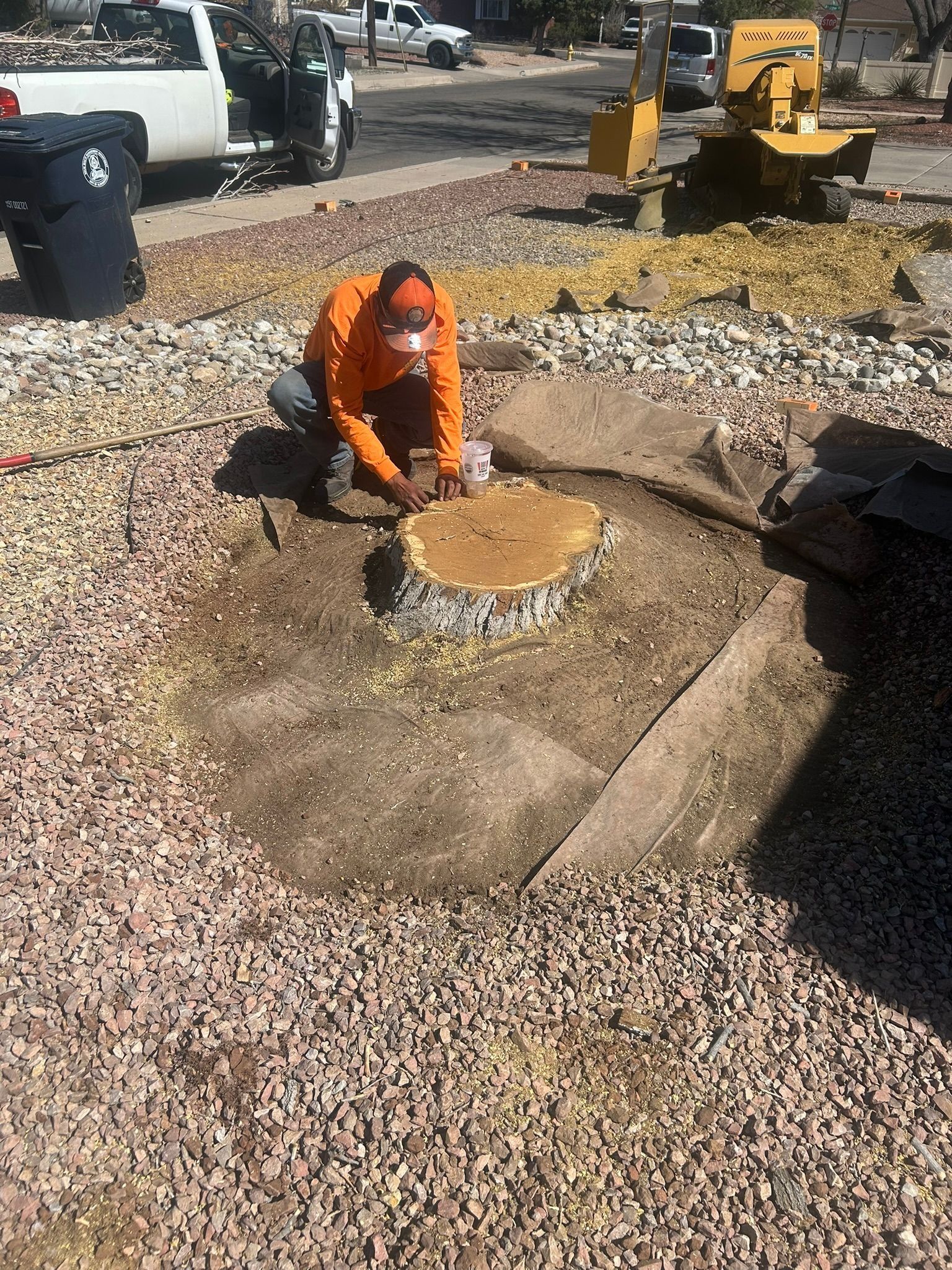 Worker in orange safety gear cuts a tree stump in a gravel lot with trucks and machinery nearby
