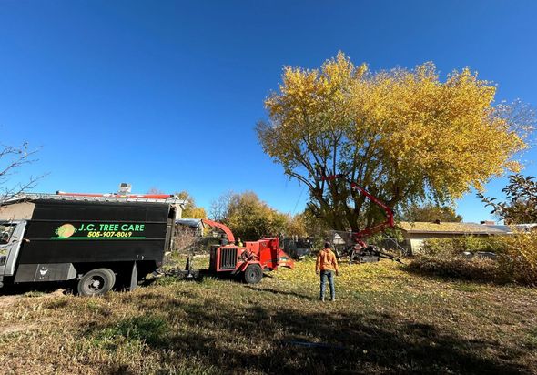 JC Tree Care LLC