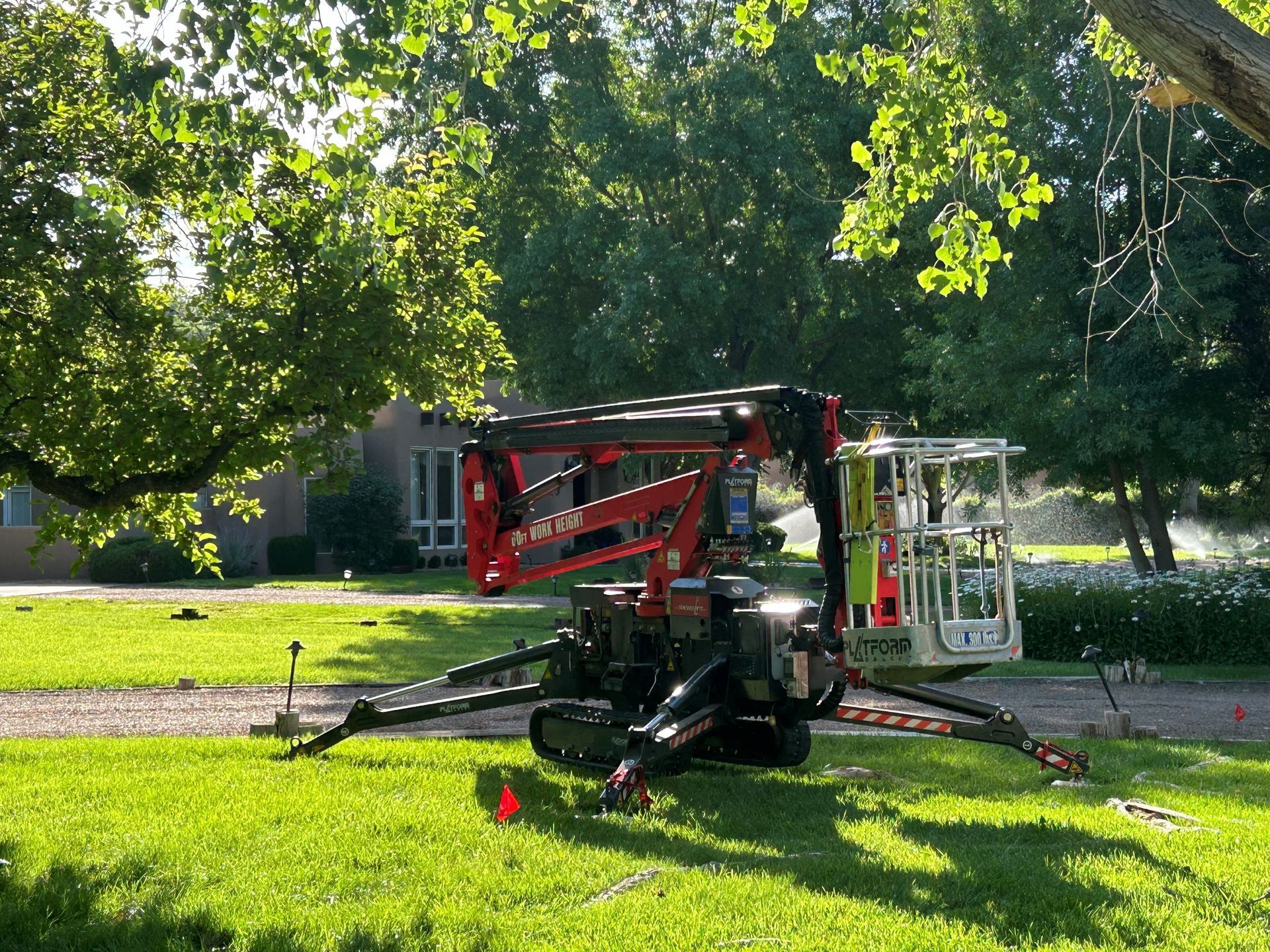 Red and black spider lift on green grass; a worker inside a white bucket is trimming a tree.