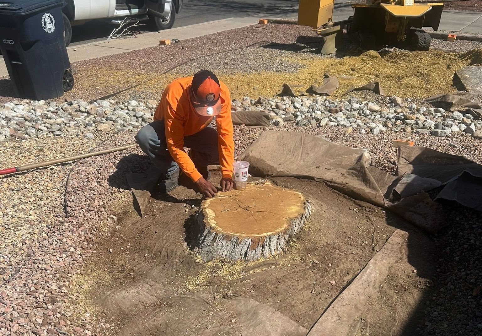 JC Tree Care LLC