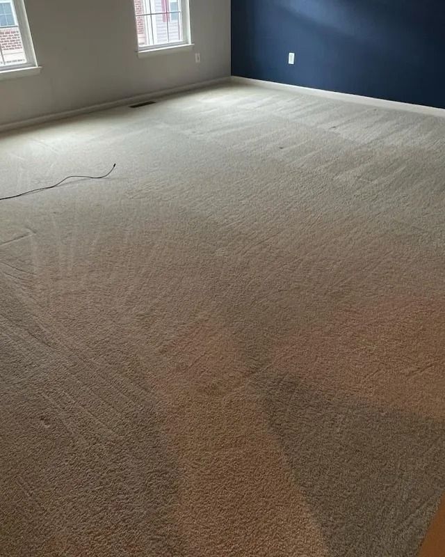 Empty carpeted room with blue accent wall and two windows letting in natural light