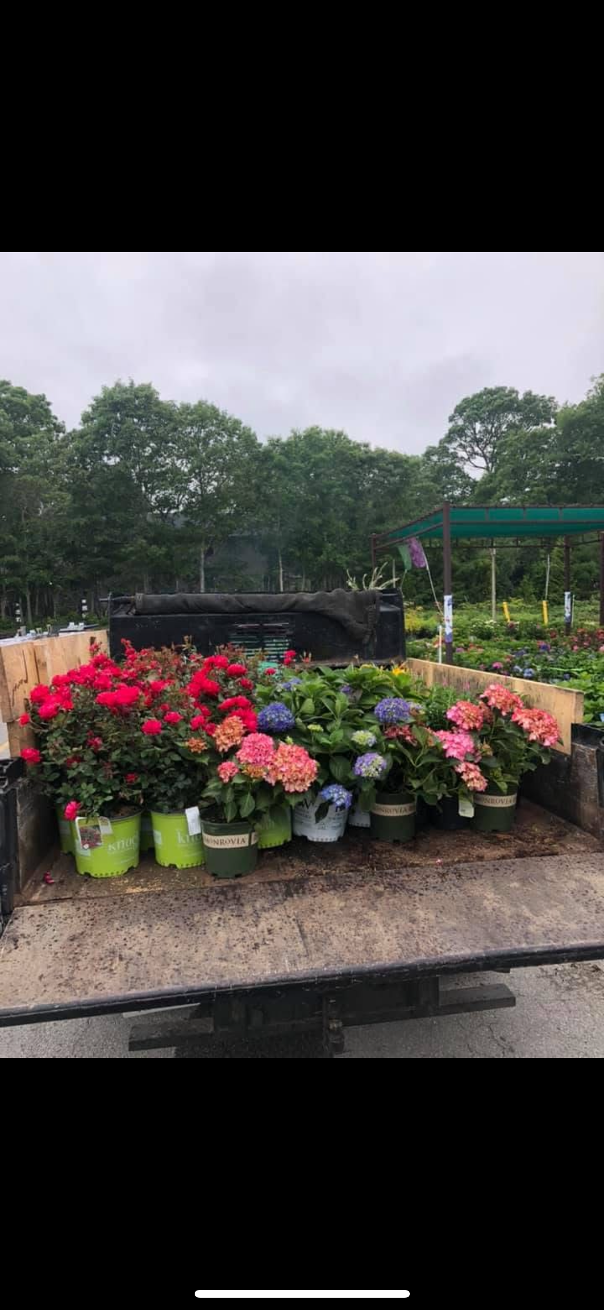 A truck filled with potted flowers in the back of it.