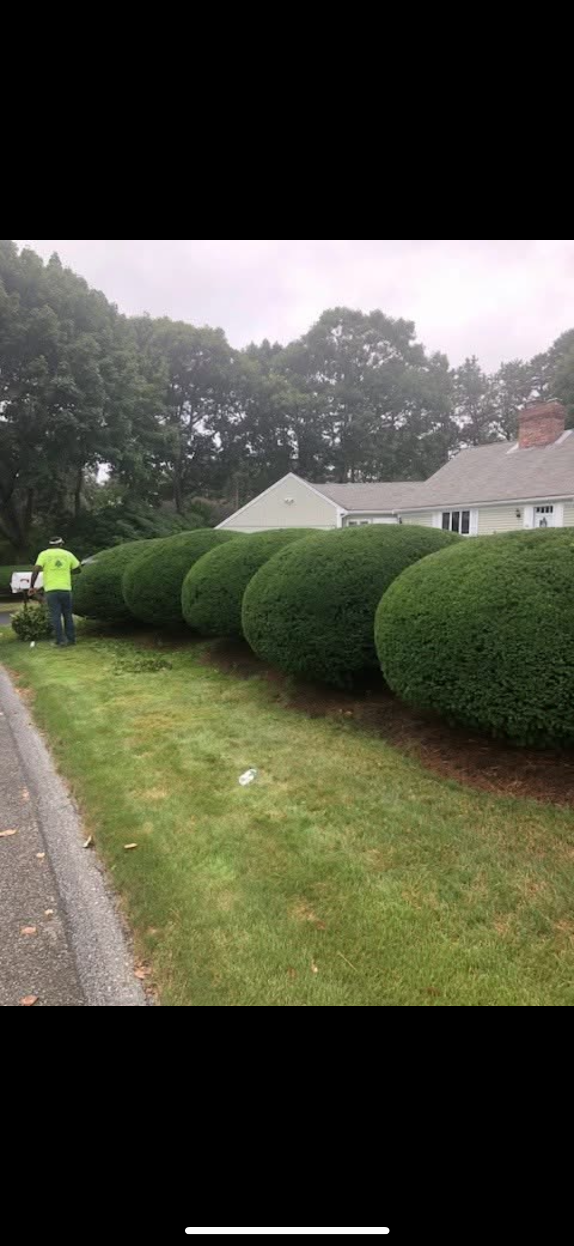 A man is cutting bushes in front of a house.