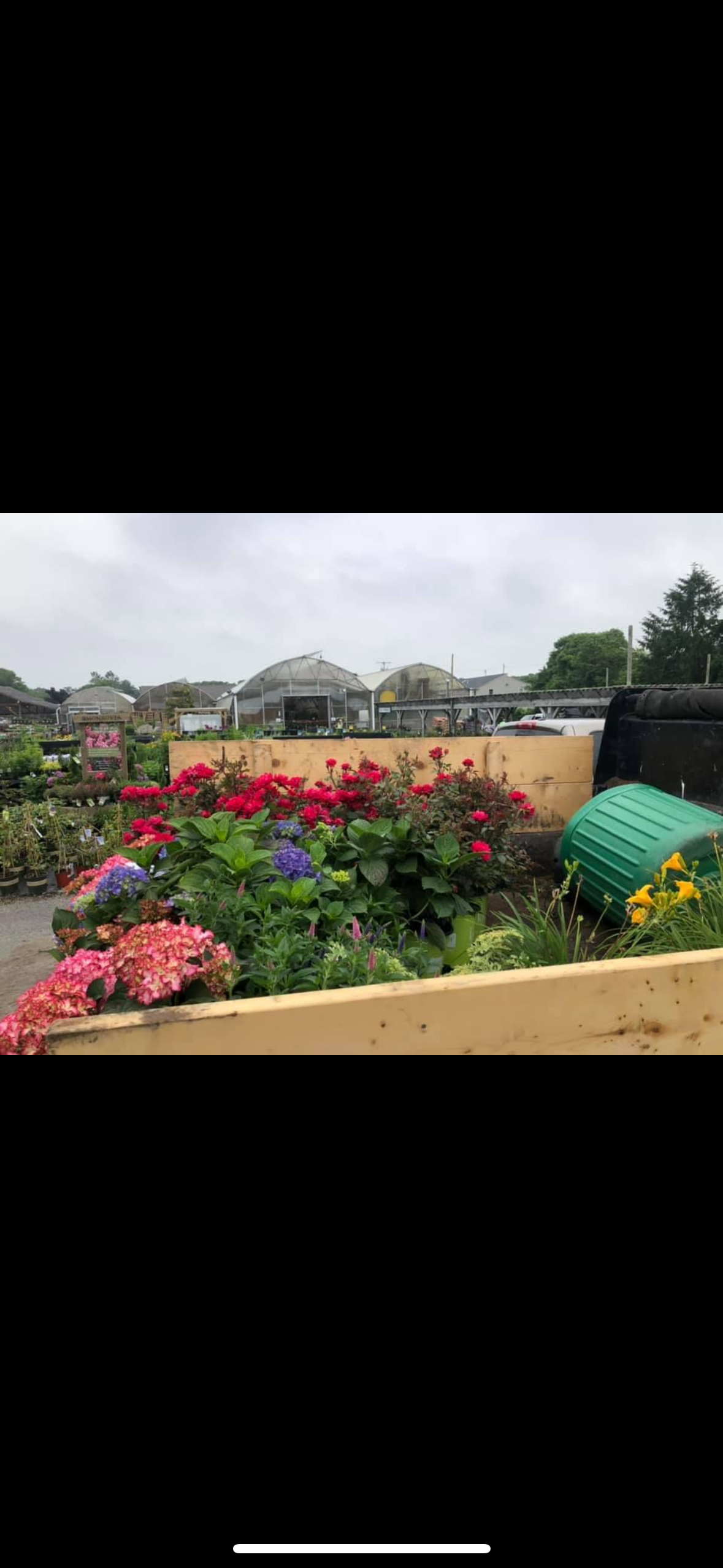 A garden filled with lots of flowers and plants on a rainy day.