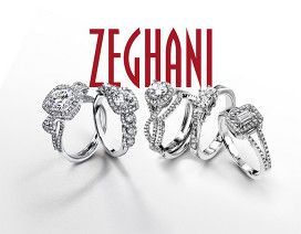 Zeghani rings