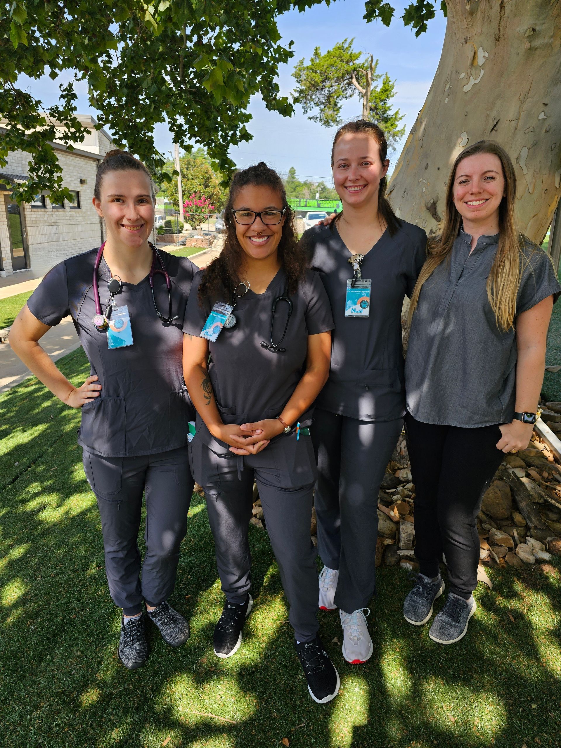 Veterinary Internship and Externship Opportunity