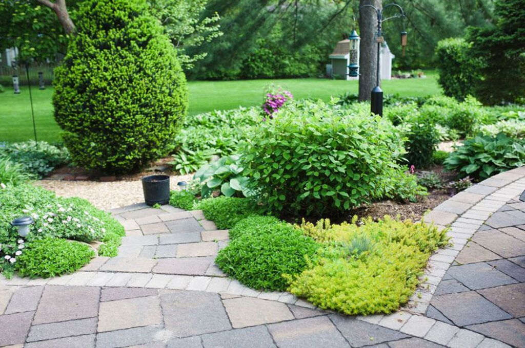 Landscaping and hardscaping services