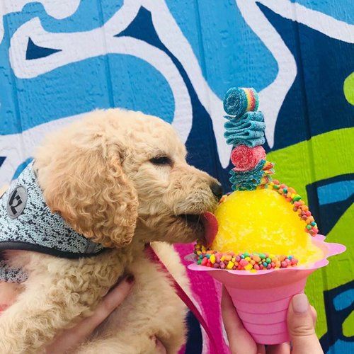 Snow Cone