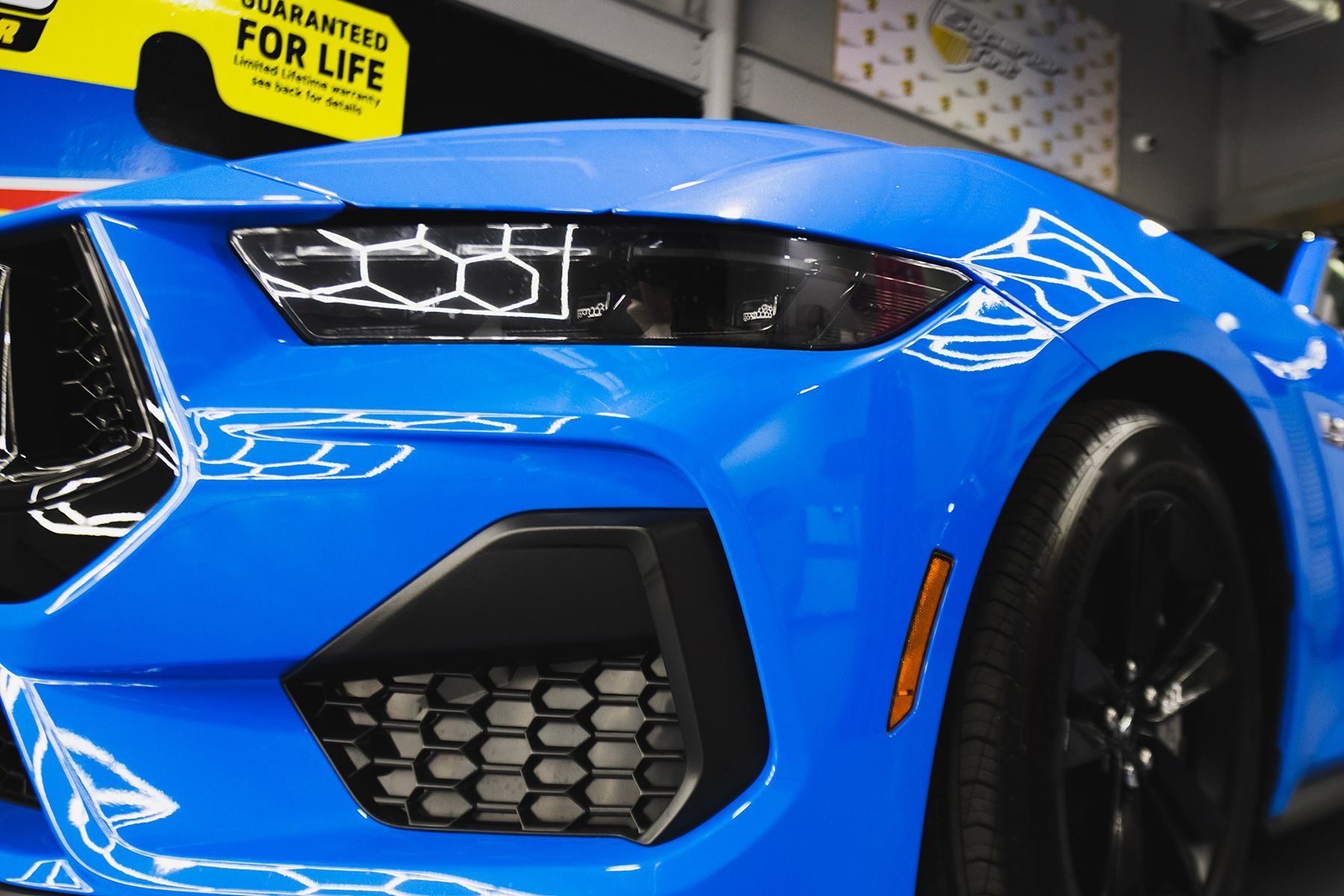 Blue Ford Mustang car's front with black grill and headlight.