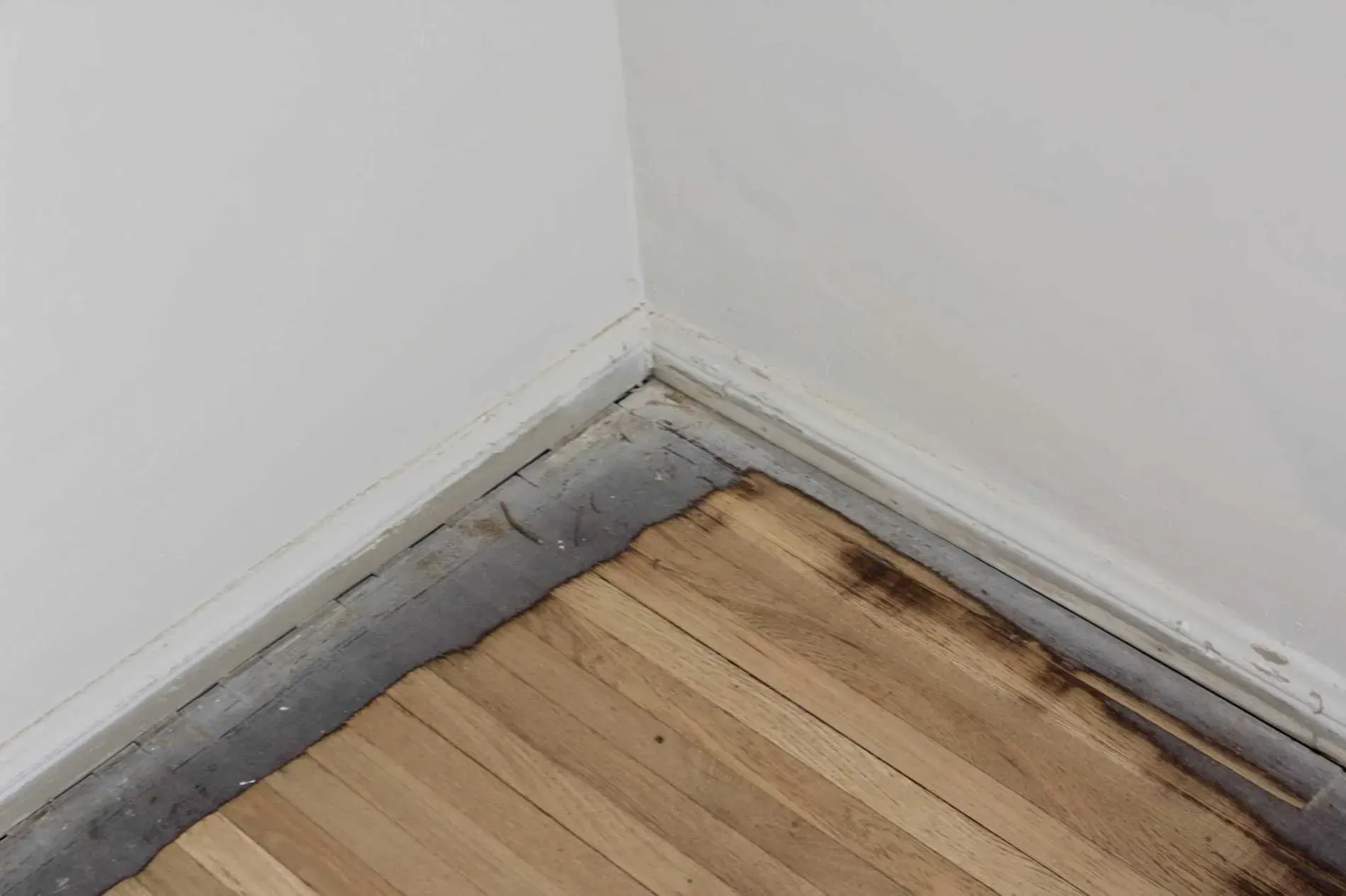 A corner of a room with a wooden floor and a white wall.