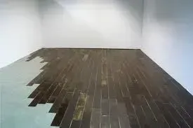 A room with a wooden floor and a white wall.