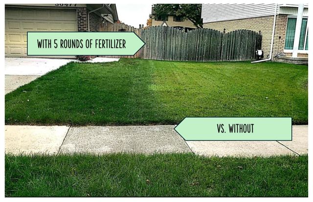 Water Before Or After Fertilizing Lawn